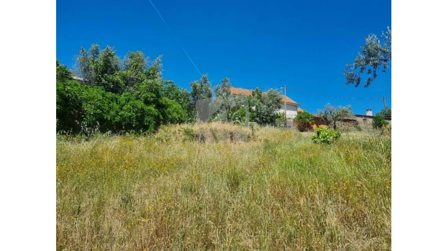 Terreno Agricola ou Rústico para Venda em Santo Andre das Tojeiras Foto 5