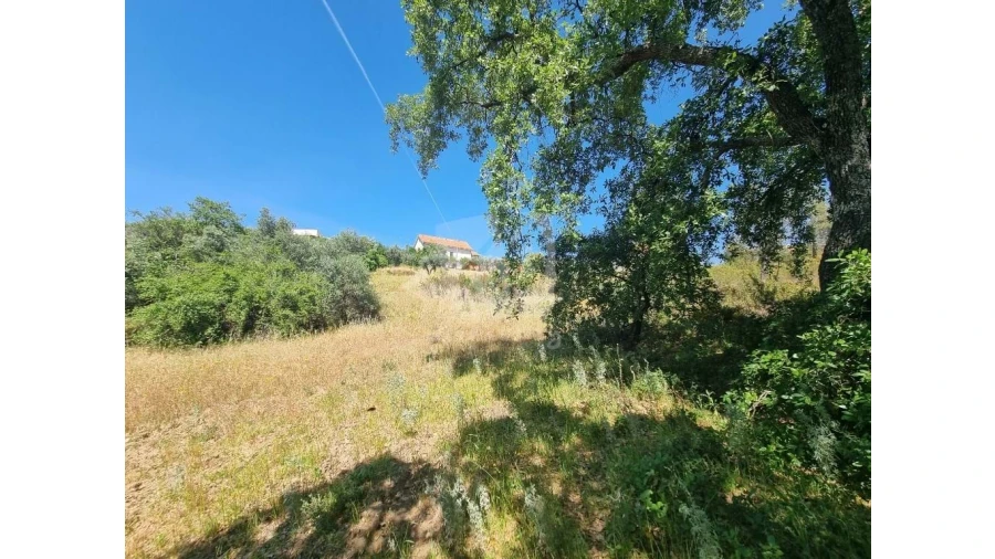 Terreno Agricola ou Rústico para Venda em Santo Andre das Tojeiras Foto 10