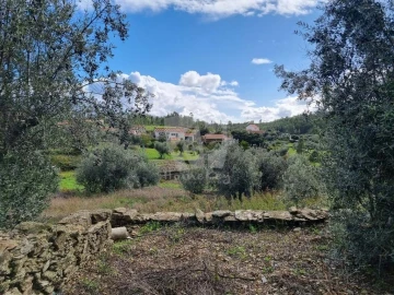 Terreno para Venda em Santo Andre das Tojeiras