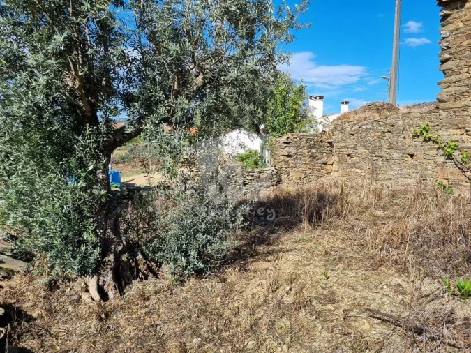 Terreno para Venda em Santo Andre das Tojeiras Foto 21