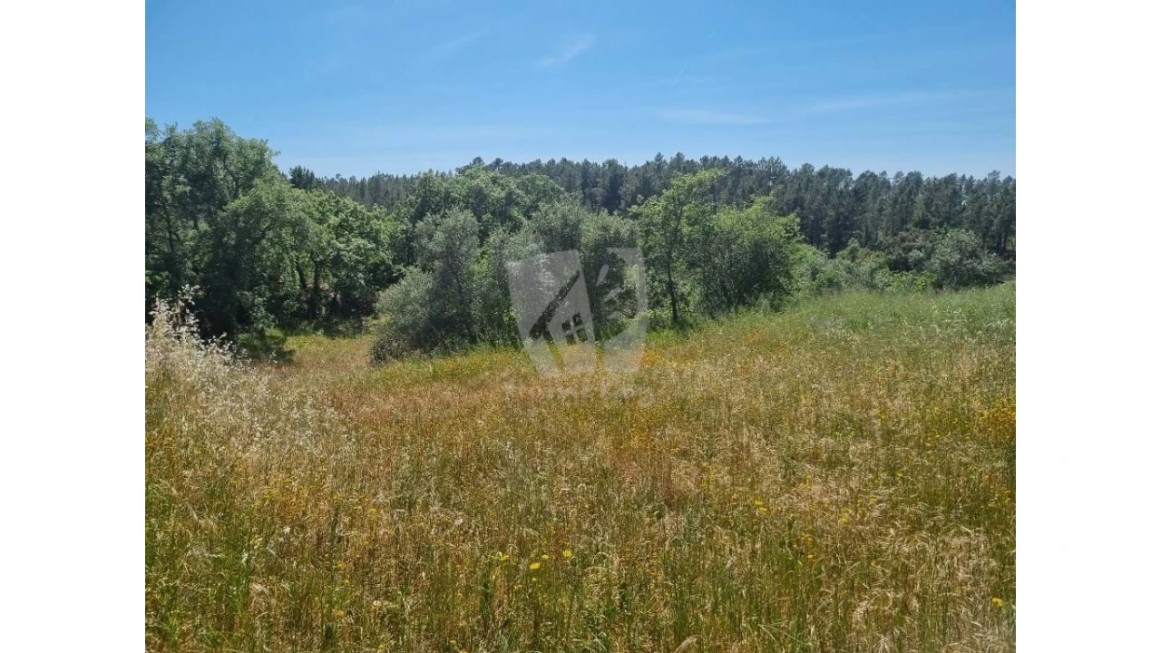 Terreno Agricola ou Rústico para Venda em Santo Andre das Tojeiras Foto 4