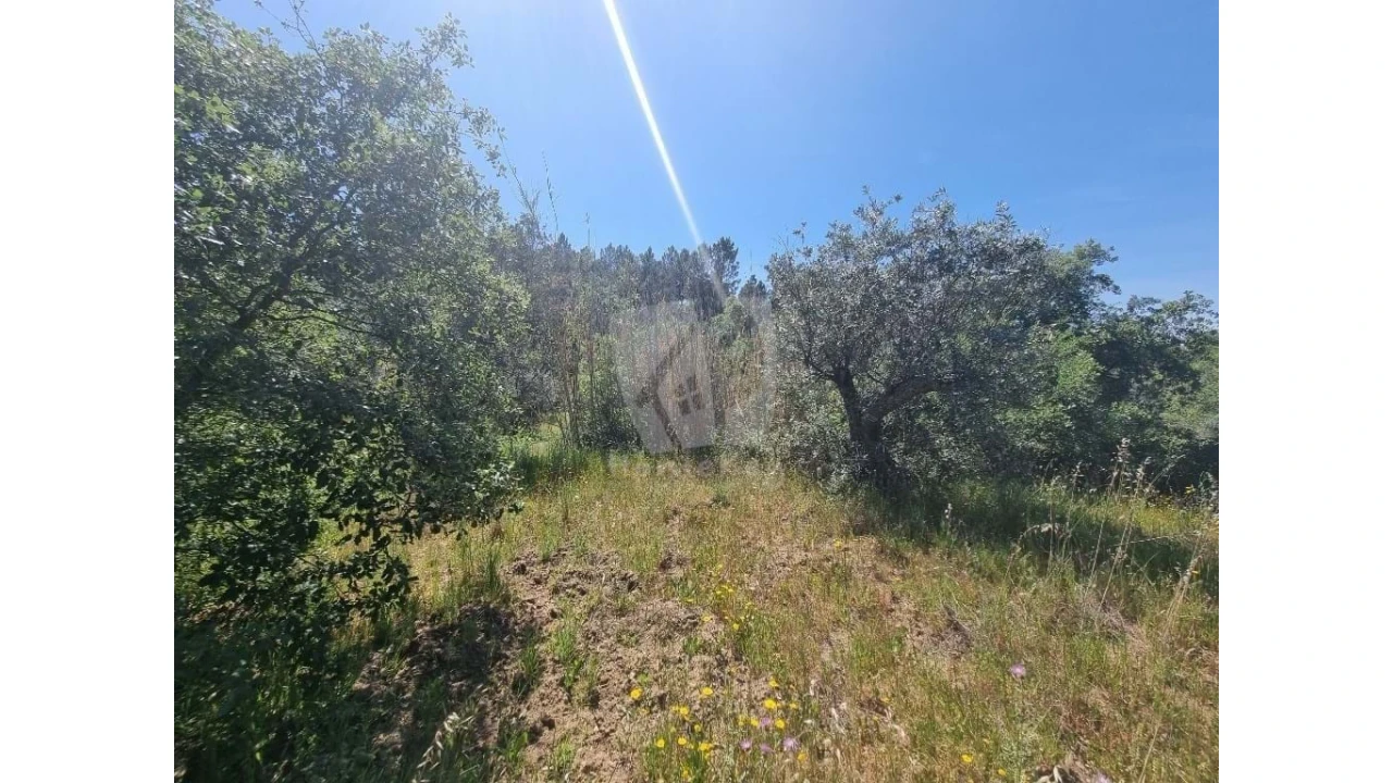 Terreno Agricola ou Rústico para Venda em Santo Andre das Tojeiras Foto 11