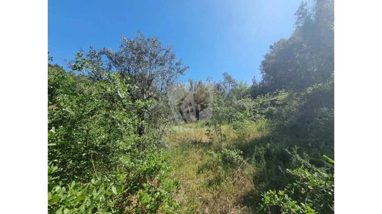 Terreno Agricola ou Rústico para Venda em Santo Andre das Tojeiras Foto 17