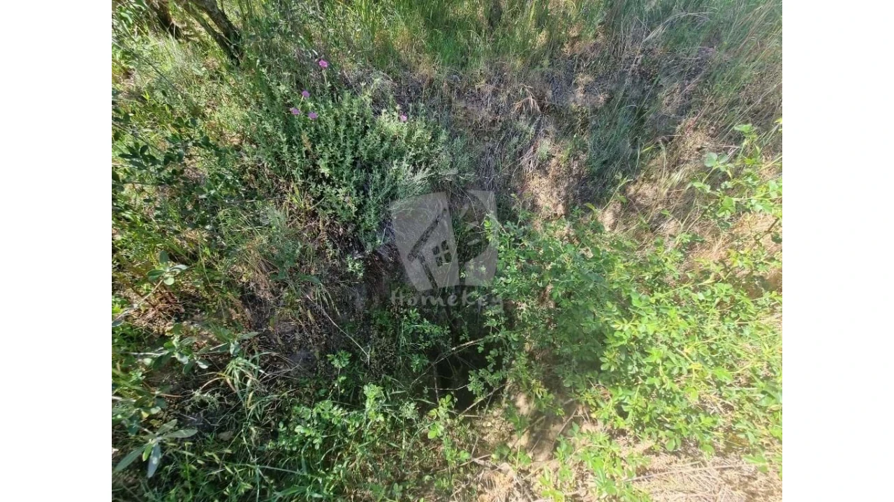 Terreno Agricola ou Rústico para Venda em Santo Andre das Tojeiras Foto 7