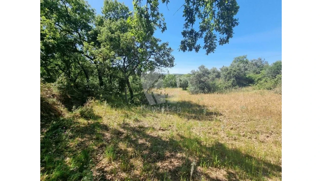 Terreno Agricola ou Rústico para Venda em Santo Andre das Tojeiras Foto 9
