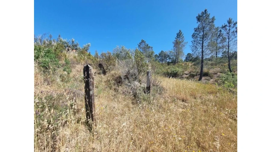 Terreno Agricola ou Rústico para Venda em Santo Andre das Tojeiras Foto 6