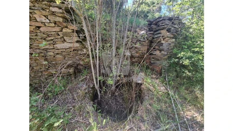 Terreno Agricola ou Rústico para Venda em Santo Andre das Tojeiras Foto 15