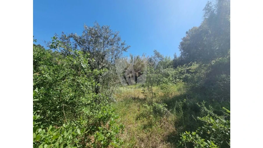 Terreno Agricola ou Rústico para Venda em Santo Andre das Tojeiras Foto 17