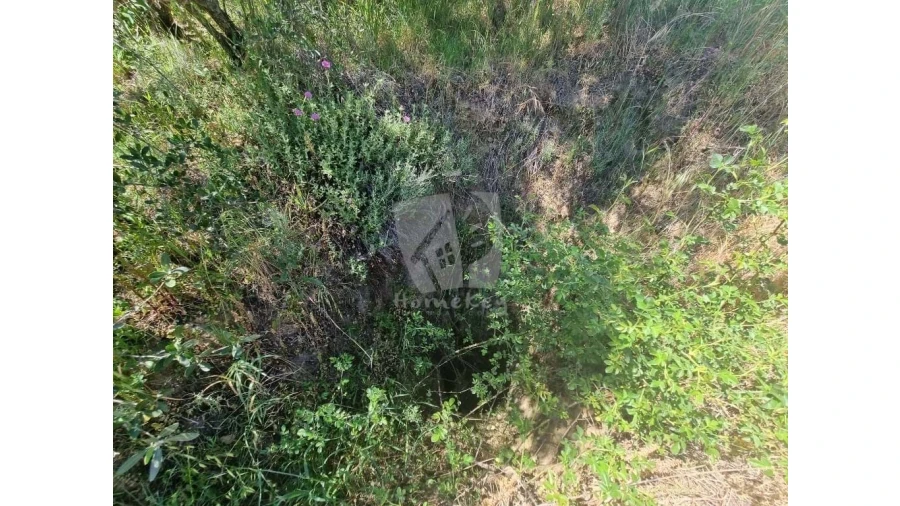 Terreno Agricola ou Rústico para Venda em Santo Andre das Tojeiras Foto 7