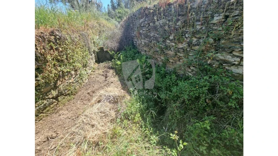 Terreno Agricola ou Rústico para Venda em Santo Andre das Tojeiras Foto 18