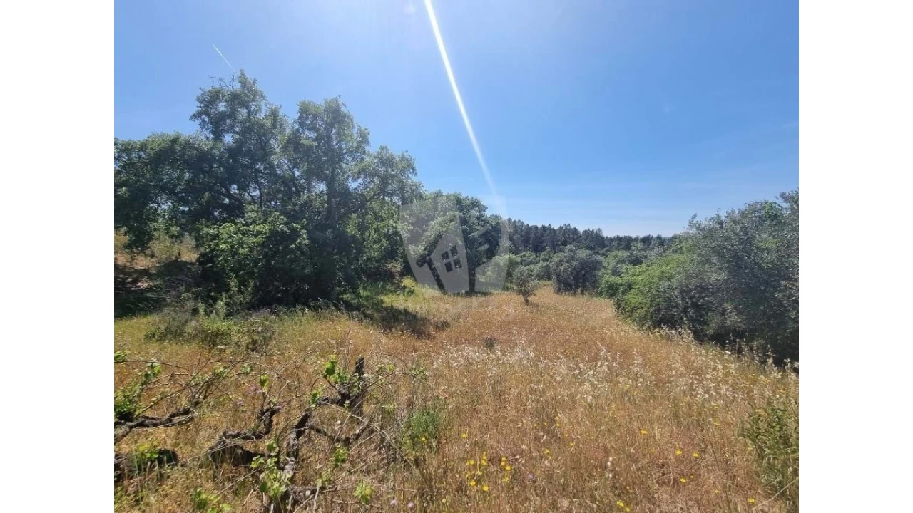 Terreno Agricola ou Rústico para Venda em Santo Andre das Tojeiras Foto 3