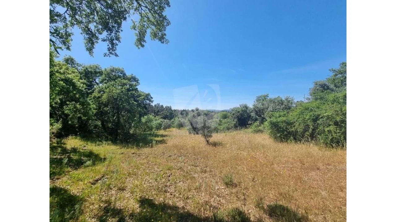 Terreno Agricola ou Rústico para Venda em Santo Andre das Tojeiras Foto 2