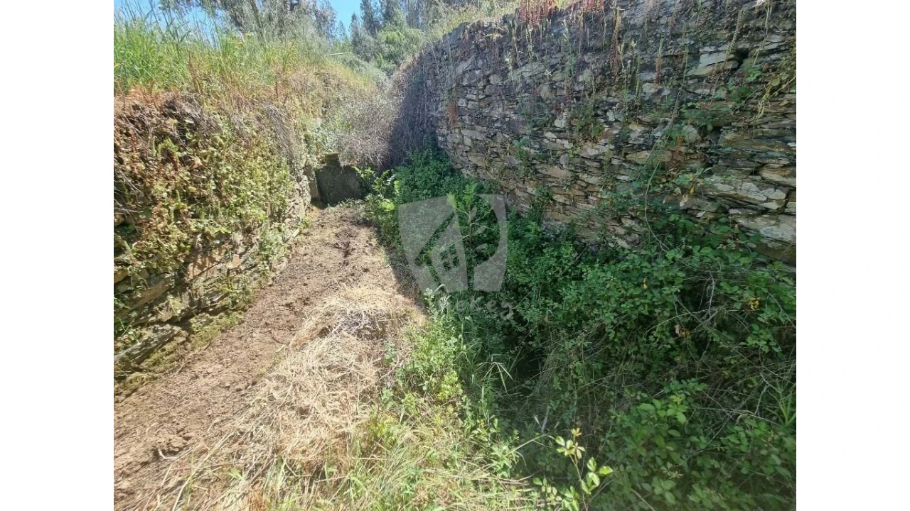 Terreno Agricola ou Rústico para Venda em Santo Andre das Tojeiras Foto 18
