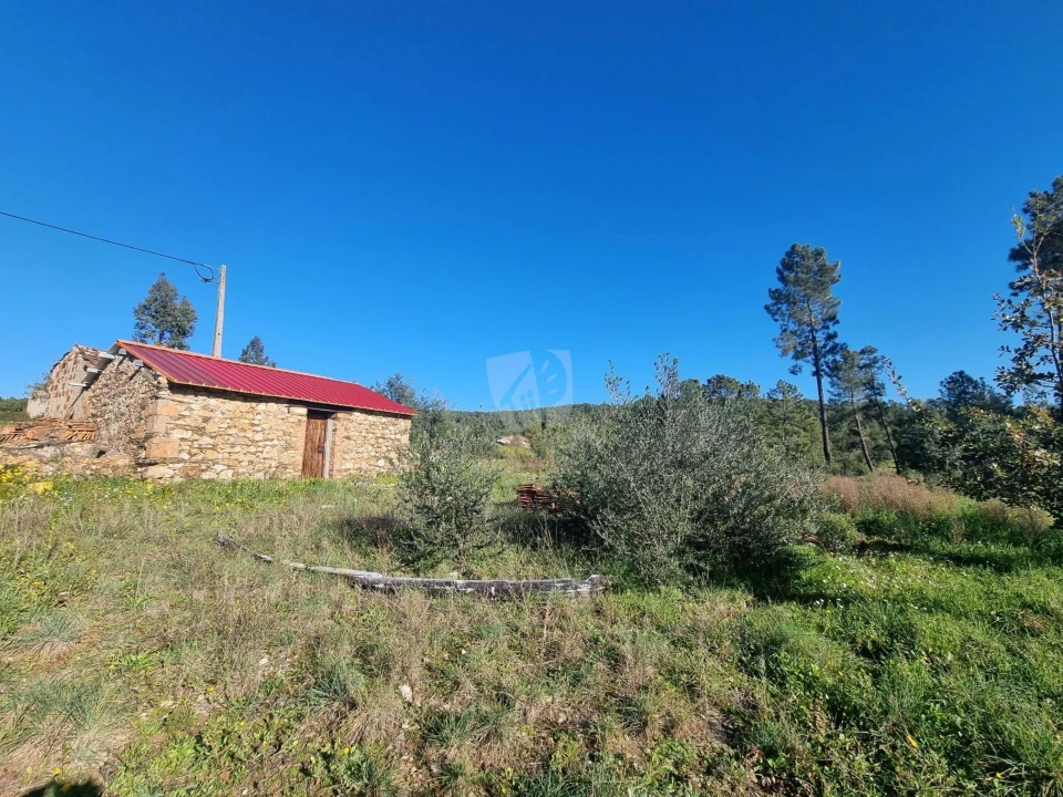 Terreno Agricola ou Rústico para Venda em Sarzedas Foto 6