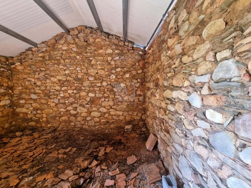 Terreno Agricola ou Rústico para Venda em Sarzedas Foto 9