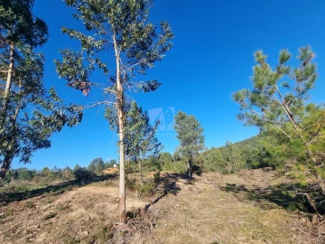 Terreno Agricola ou Rústico para Venda em Sarzedas