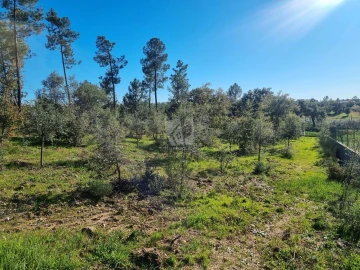 Terreno Agricola ou Rústico para Venda em Sarzedas