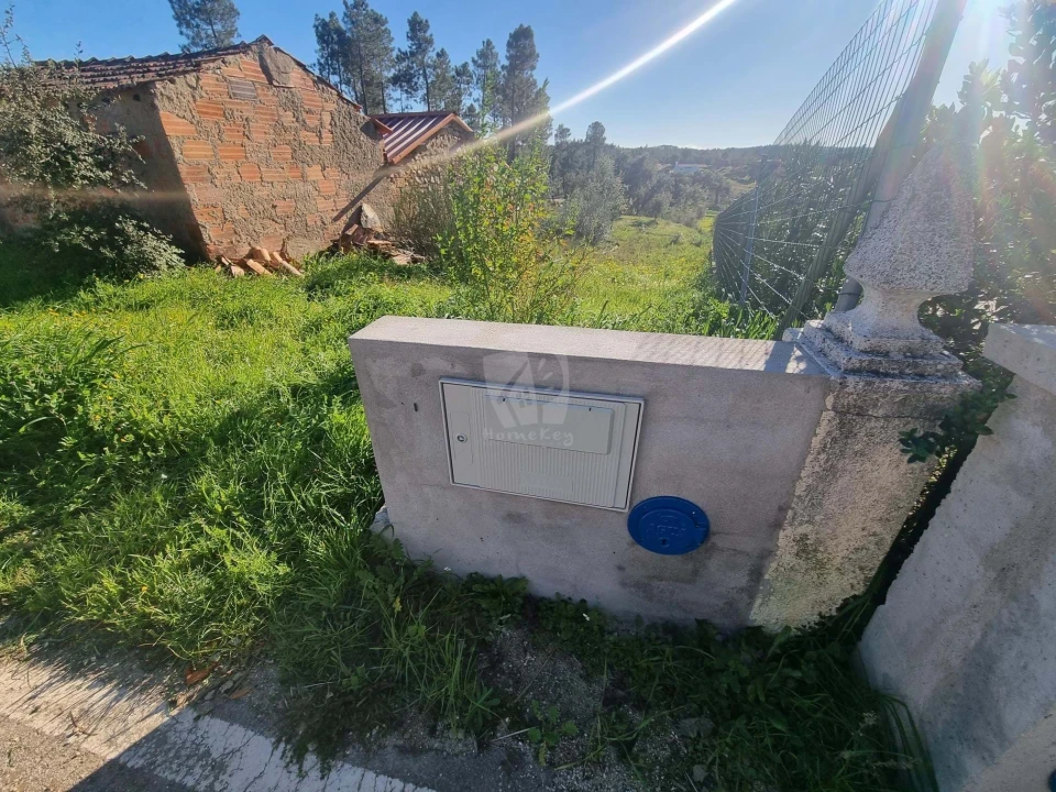 Terreno Agricola ou Rústico para Venda em Sarzedas Foto 7