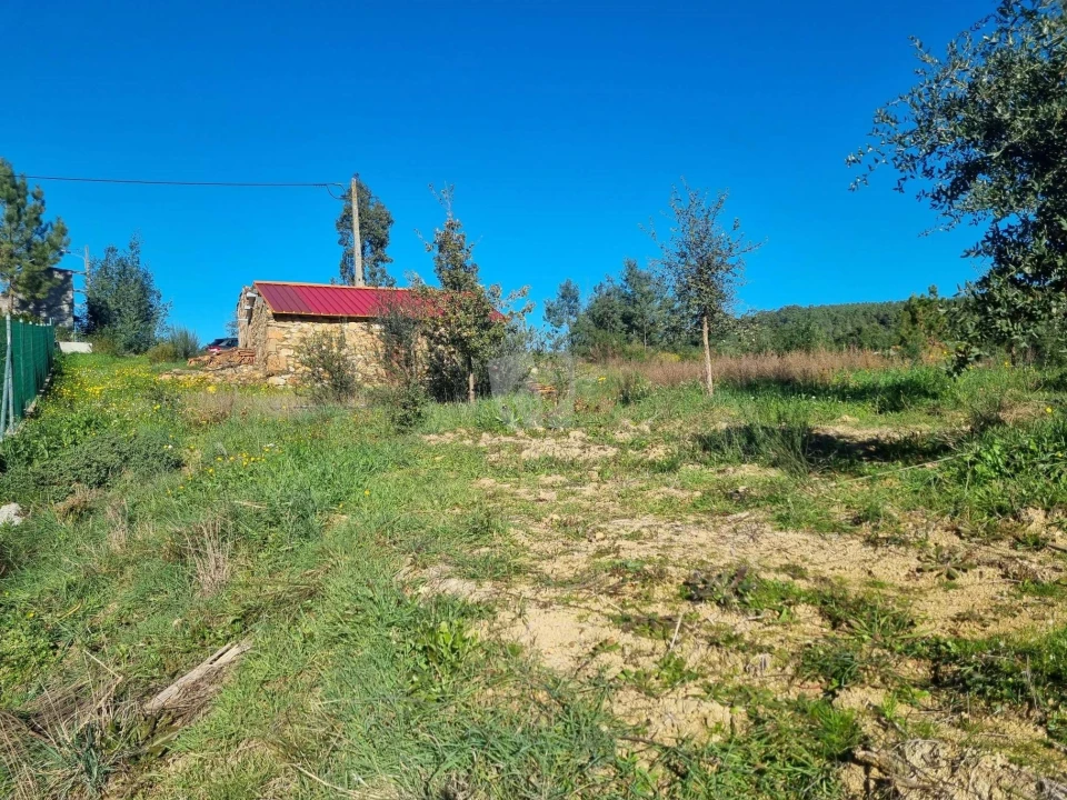 Terreno Agricola ou Rústico para Venda em Sarzedas Foto 4