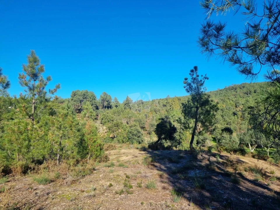 Terreno Agricola ou Rústico para Venda em Sarzedas Foto 21