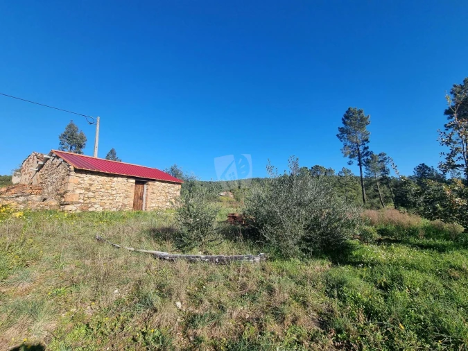 Terreno Agricola ou Rústico para Venda em Sarzedas Foto 6