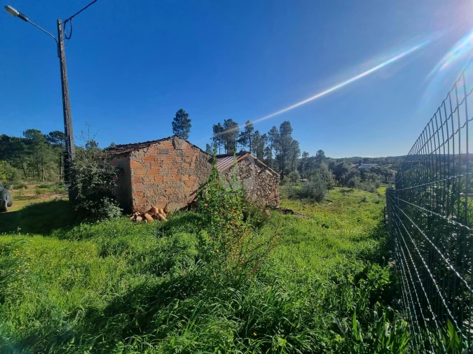 Terreno Agricola ou Rústico para Venda em Sarzedas Foto 3