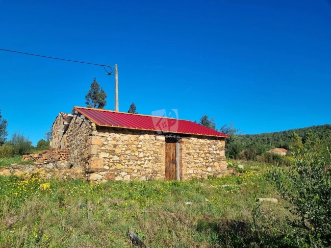 Terreno Agricola ou Rústico para Venda em Sarzedas Foto 2