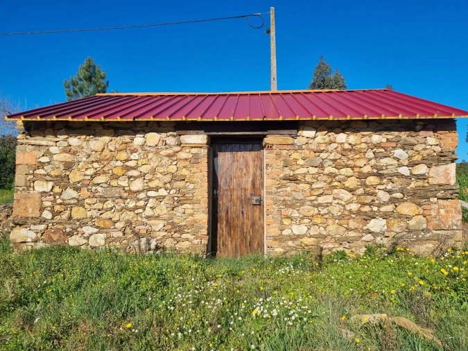 Terreno Agricola ou Rústico para Venda em Sarzedas