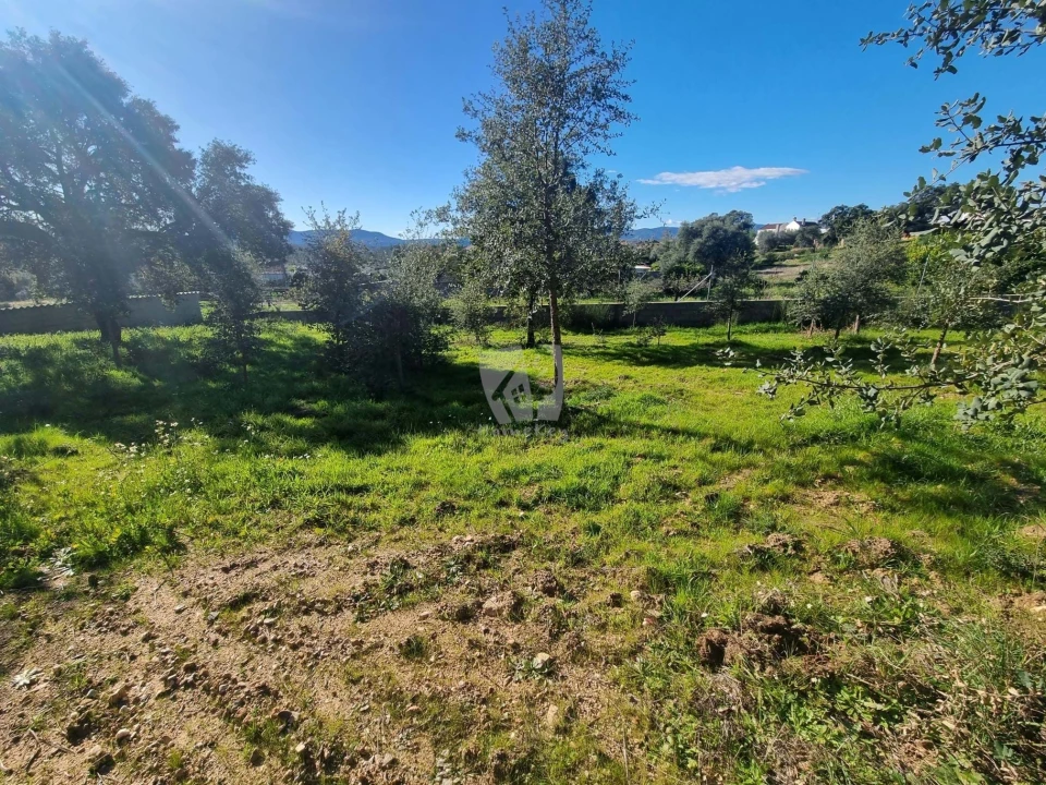 Terreno Agricola ou Rústico para Venda em Sarzedas Foto 15
