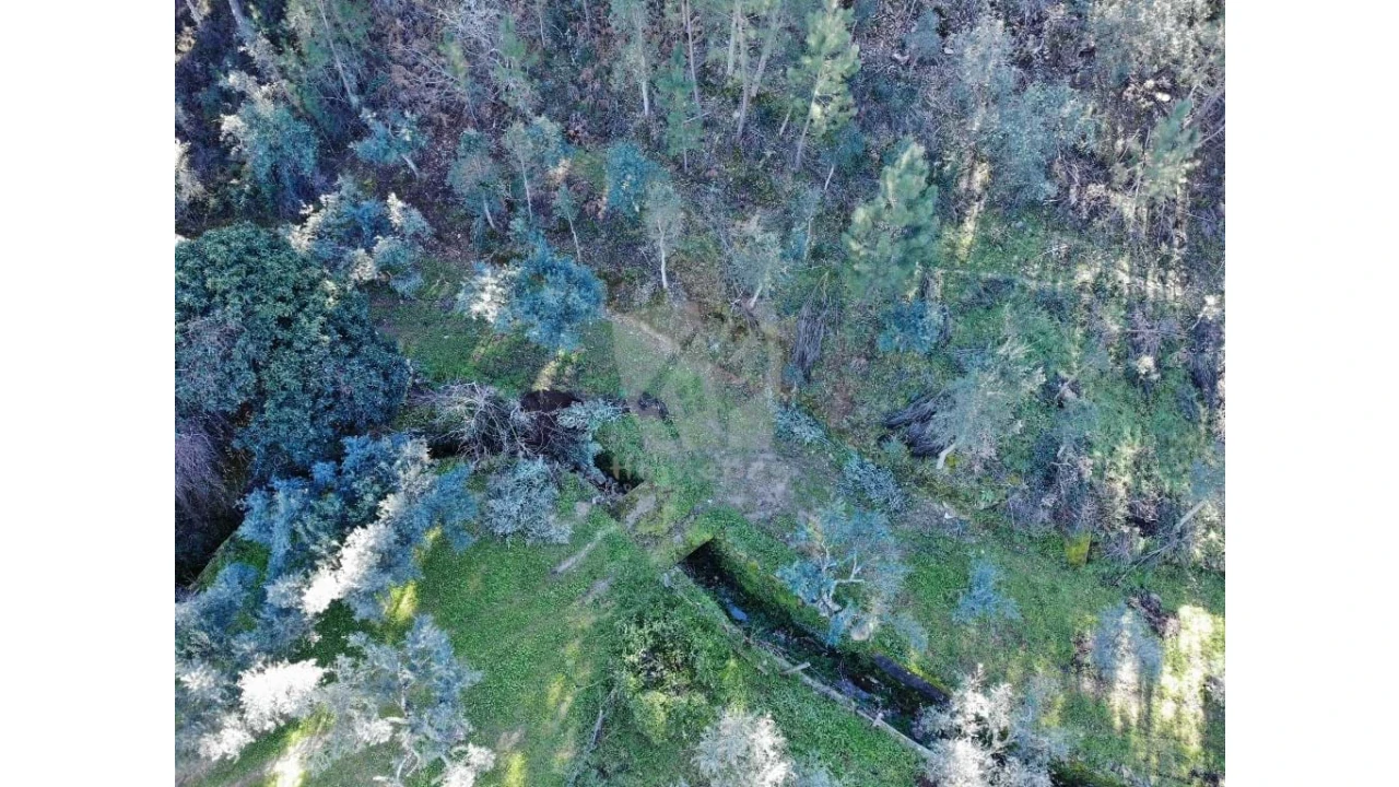 Terreno Agricola ou Rústico para Venda em Sarzedas Foto 15