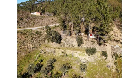 Terreno Agricola ou Rústico para Venda em Sarzedas