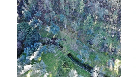 Terreno Agricola ou Rústico para Venda em Sarzedas