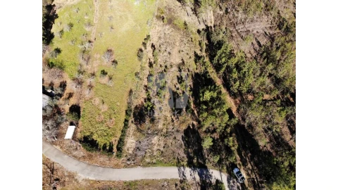 Terreno Agricola ou Rústico para Venda em Sarzedas