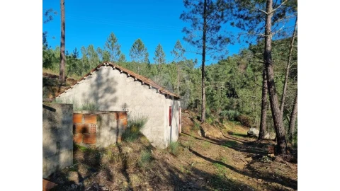 Terreno Agricola ou Rústico para Venda em Sarzedas