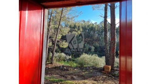 Terreno Agricola ou Rústico para Venda em Sarzedas