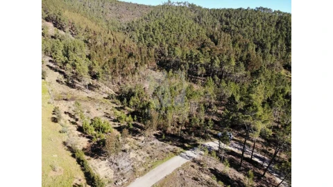 Terreno Agricola ou Rústico para Venda em Sarzedas