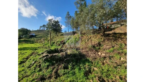 Terreno Agricola ou Rústico para Venda em Sarzedas