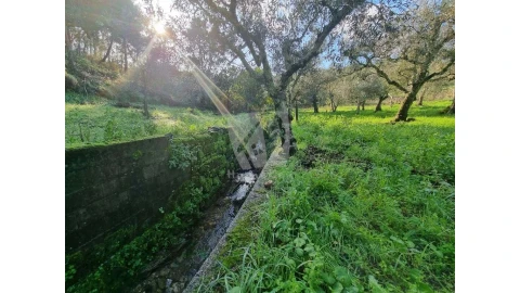 Terreno Agricola ou Rústico para Venda em Sarzedas