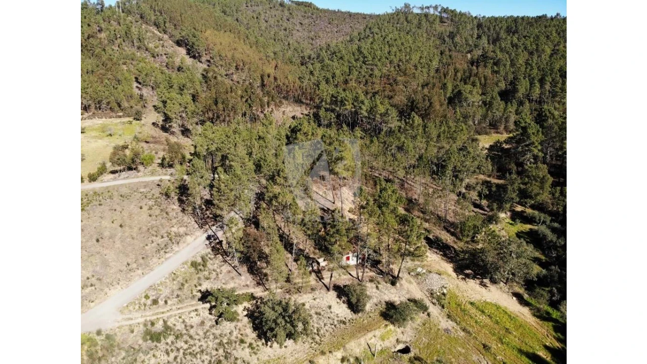 Terreno Agricola ou Rústico para Venda em Sarzedas Foto 14