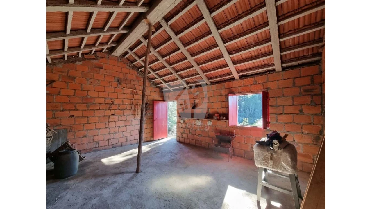 Terreno Agricola ou Rústico para Venda em Sarzedas Foto 4