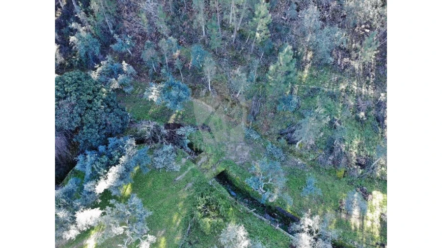 Terreno Agricola ou Rústico para Venda em Sarzedas Foto 15