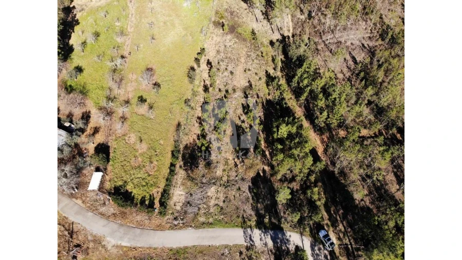 Terreno Agricola ou Rústico para Venda em Sarzedas Foto 17