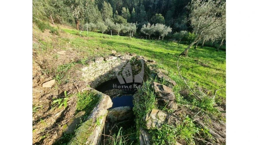 Terreno Agricola ou Rústico para Venda em Sarzedas Foto 2