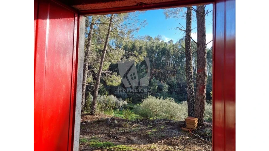 Terreno Agricola ou Rústico para Venda em Sarzedas Foto 7