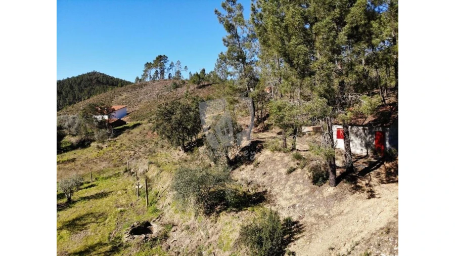 Terreno Agricola ou Rústico para Venda em Sarzedas Foto 12