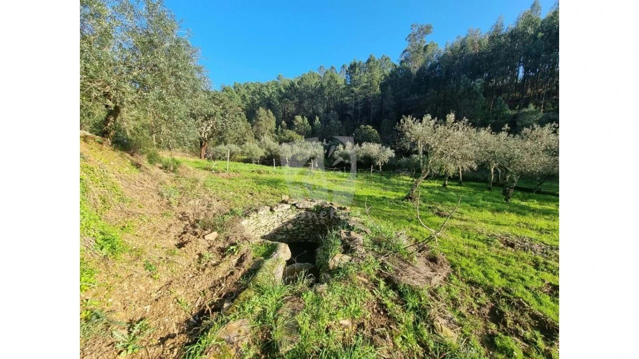 Terreno Agricola ou Rústico para Venda em Sarzedas Foto 10