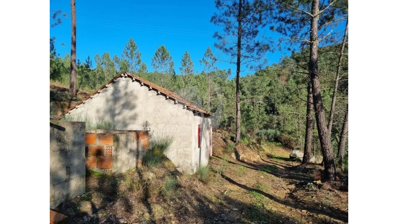 Terreno Agricola ou Rústico para Venda em Sarzedas Foto 1