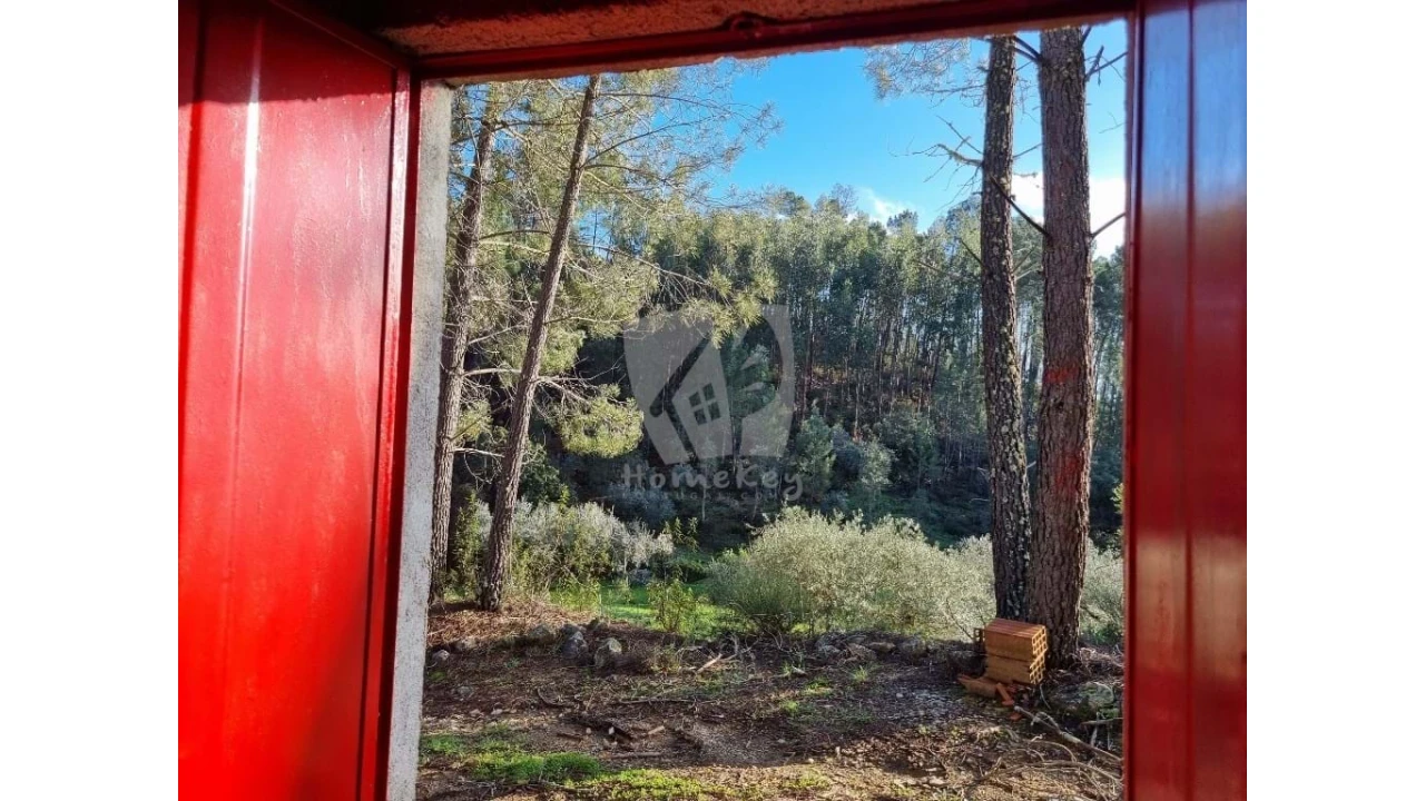 Terreno Agricola ou Rústico para Venda em Sarzedas Foto 7