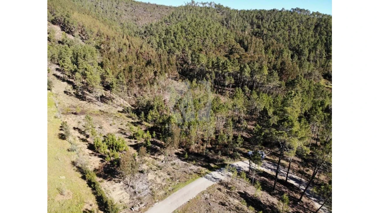 Terreno Agricola ou Rústico para Venda em Sarzedas Foto 9