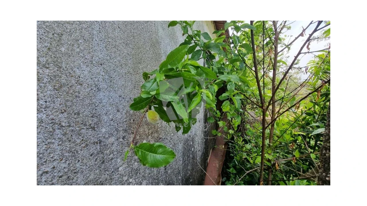 Moradia T4 para Venda em Santo Andre das Tojeiras Foto 15